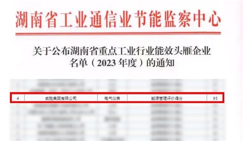 喜訊|威勝集團上榜湖南省能效“頭雁”企業名單