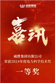 喜訊 | 威勝集團榮獲 2024 年度電力科學技術一等獎