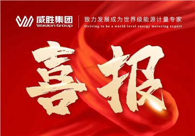 排名第一！威勝集團(tuán)2024年中標(biāo)國網(wǎng)總部集中招標(biāo)采購項(xiàng)目總金額達(dá)5.97億元！